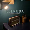 Jagiesh Vaswani - Dilruba - Single